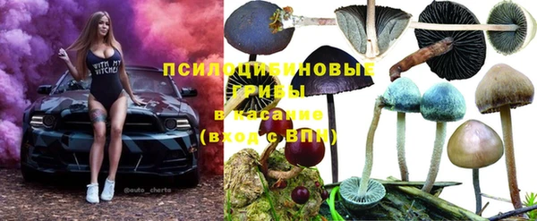 каннабис Алексеевка