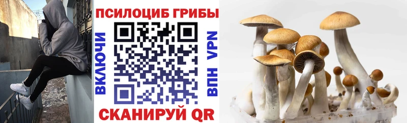 Галлюциногенные грибы Magic Shrooms Ковылкино